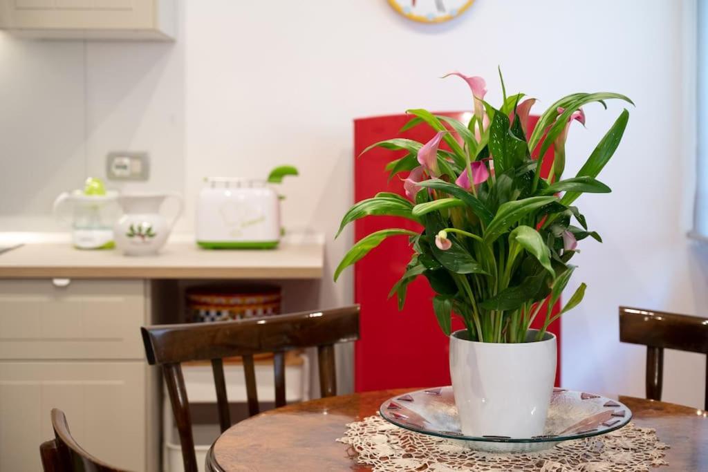 Casa Bouganville - St. Peter Romantic Apartment Zewnętrze zdjęcie